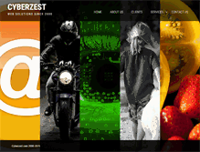 Tablet Screenshot of cyberzest.com
